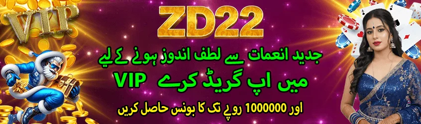 zd22 game banner